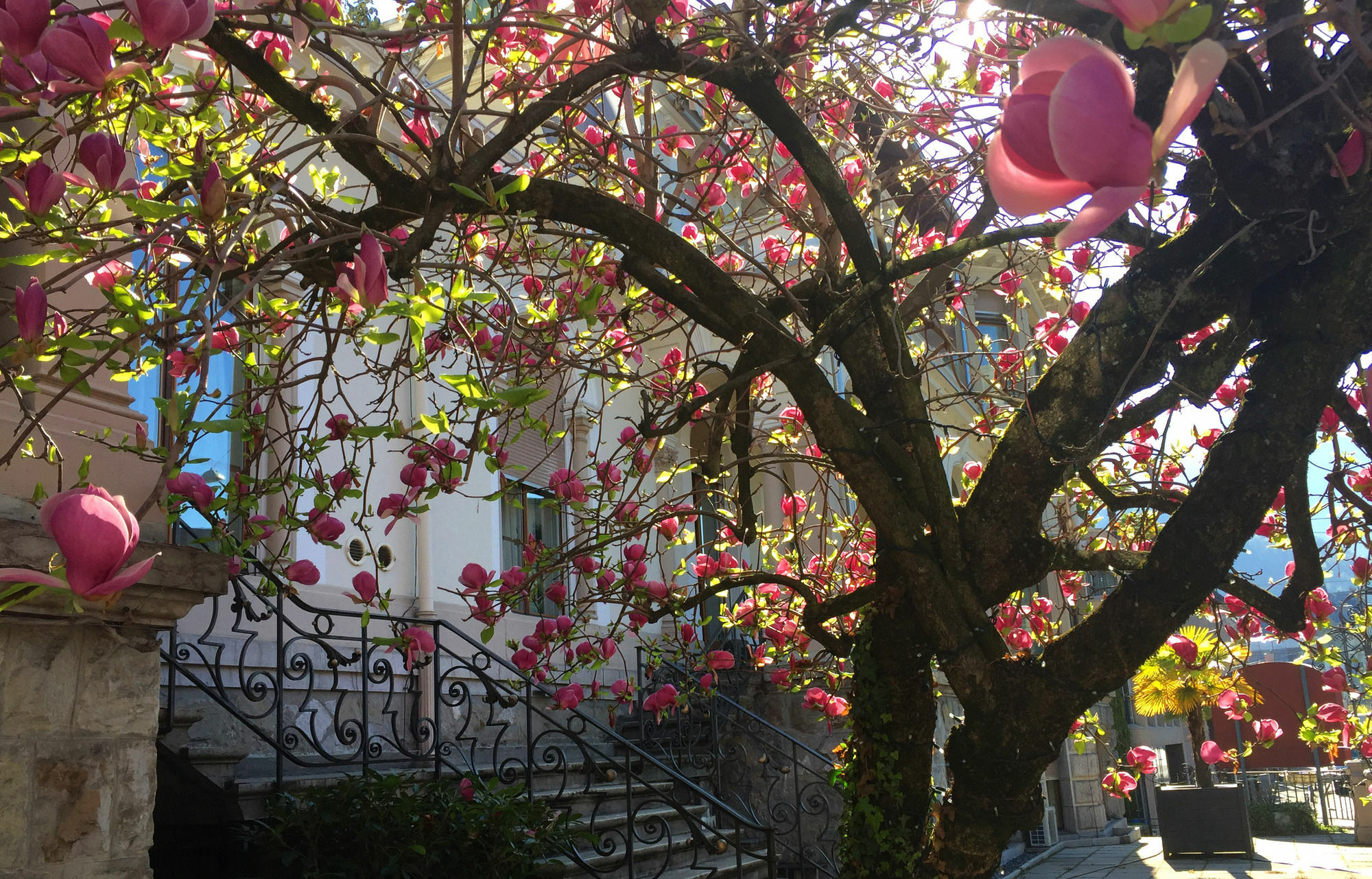 Villa Toscane Montreux Esterno foto